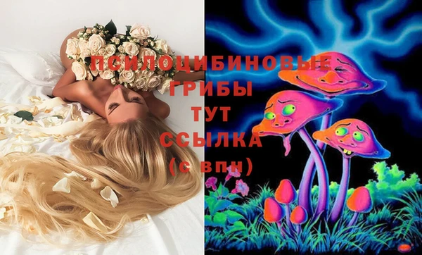 ешки Абдулино