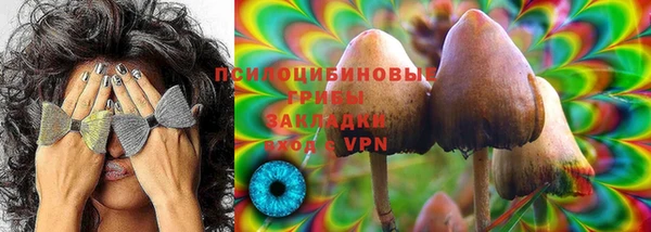 spice Абаза