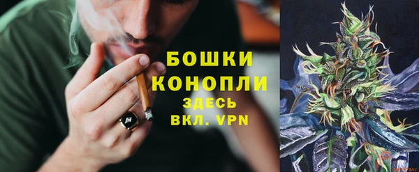 spice Абаза