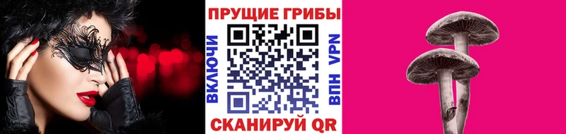Галлюциногенные грибы MAGIC MUSHROOMS  Рассказово 