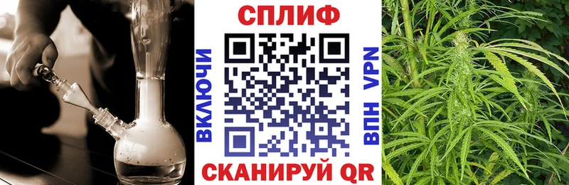 Шишки марихуана SATIVA & INDICA  блэк спрут сайт  Рассказово  как найти закладки 